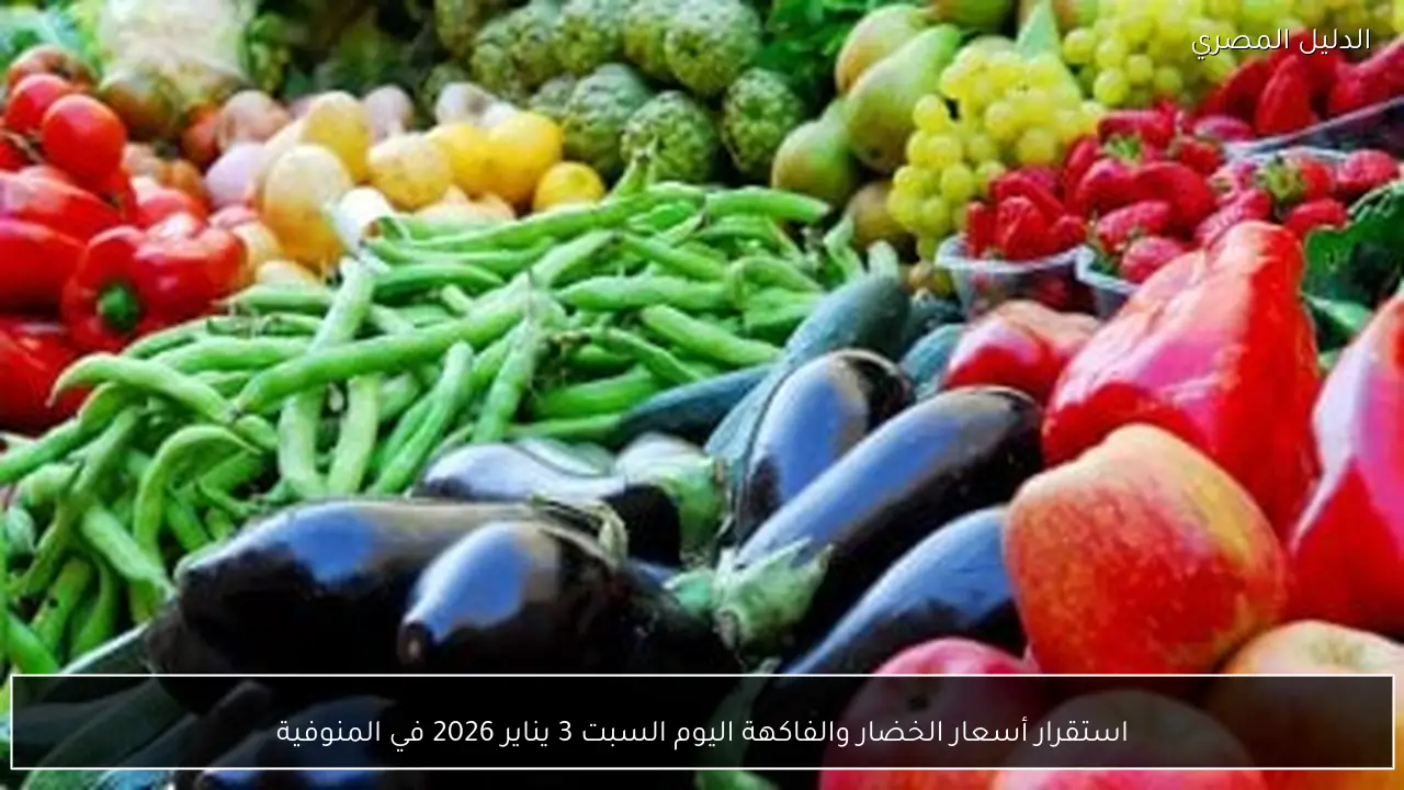 استقرار أسعار الخضار والفاكهة اليوم السبت 3 يناير 2026 في المنوفية