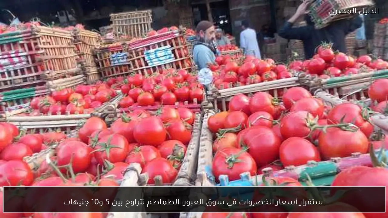 استقرار أسعار الخضروات في سوق العبور: الطماطم تتراوح بين 5 و10 جنيهات