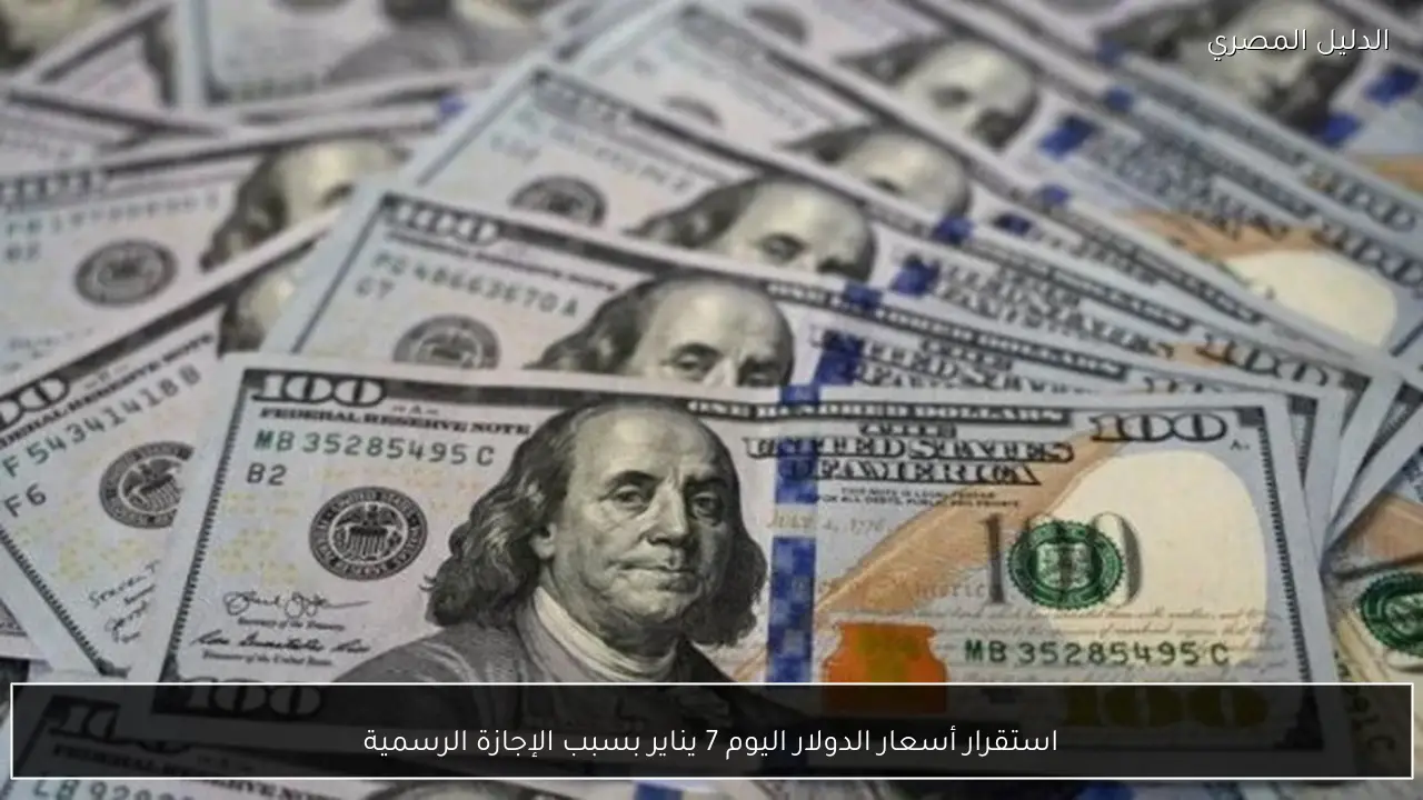 استقرار أسعار الدولار اليوم 7 يناير بسبب الإجازة الرسمية