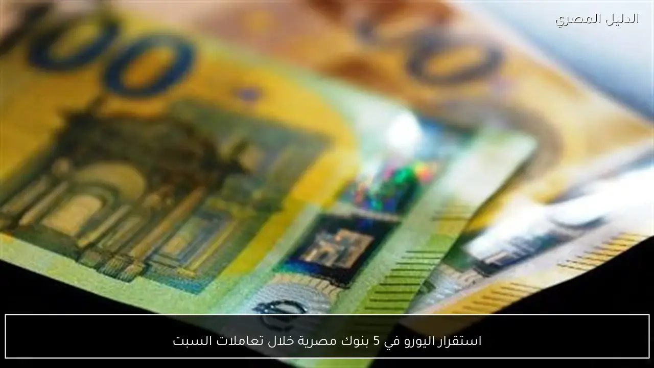 استقرار اليورو في 5 بنوك مصرية خلال تعاملات السبت