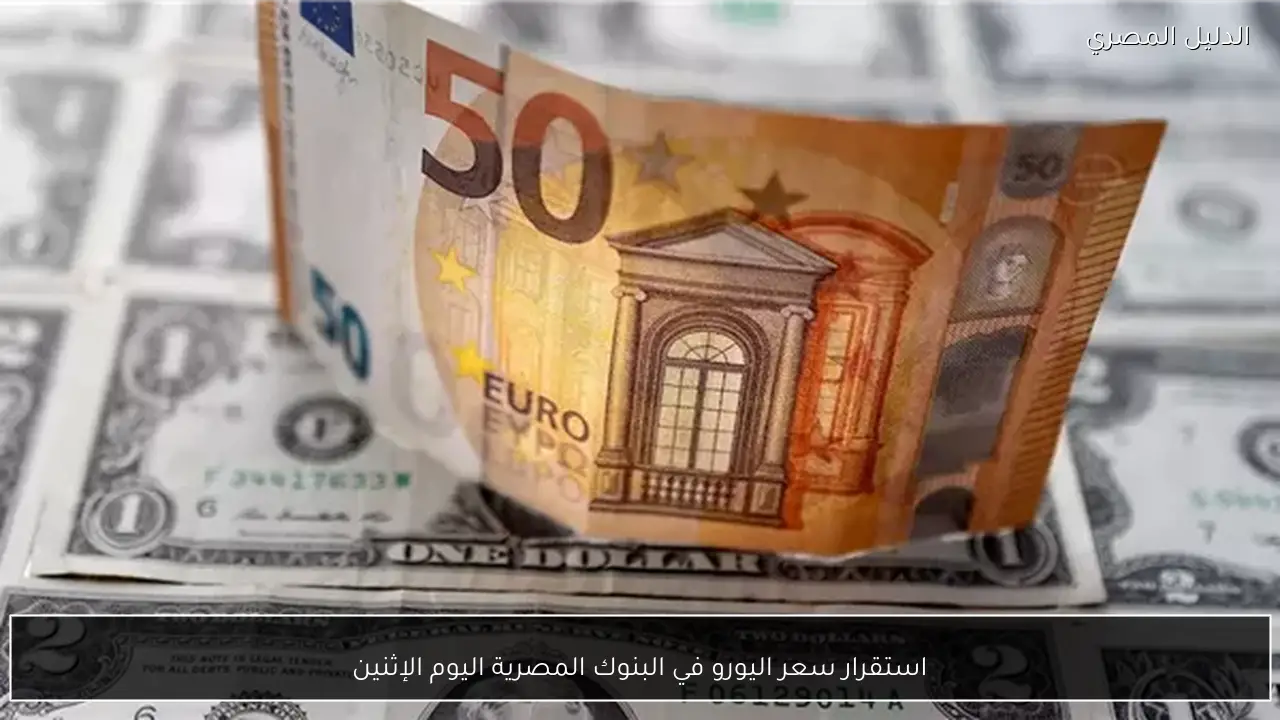 استقرار سعر اليورو في البنوك المصرية اليوم الإثنين