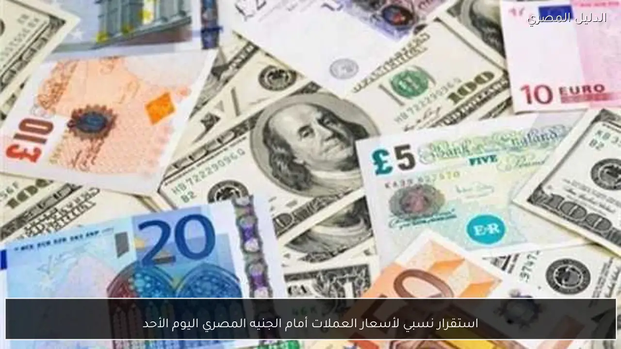 استقرار نسبي لأسعار العملات أمام الجنيه المصري اليوم الأحد