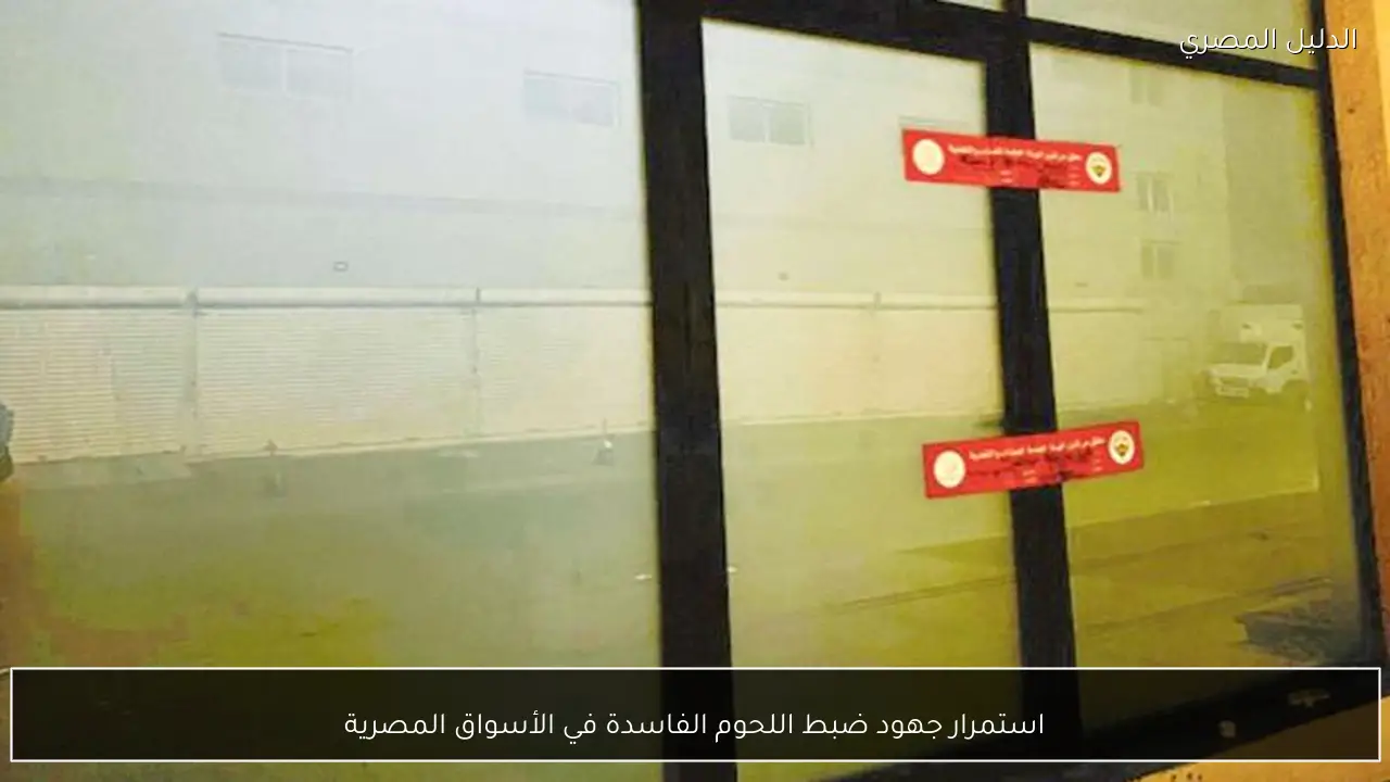 استمرار جهود ضبط اللحوم الفاسدة في الأسواق المصرية