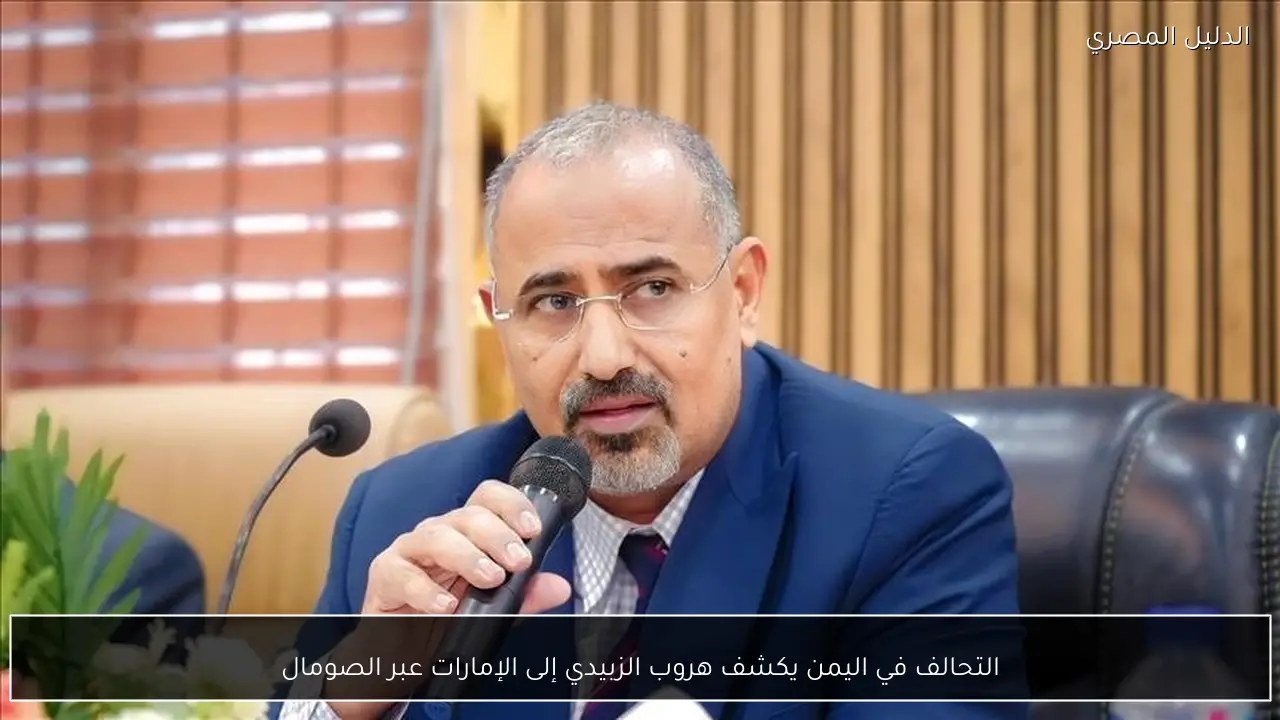 التحالف في اليمن يكشف هروب الزبيدي إلى الإمارات عبر الصومال