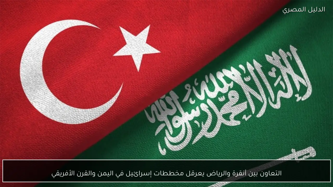 التعاون بين أنقرة والرياض يعرقل مخططات إسرائيل في اليمن والقرن الأفريقي