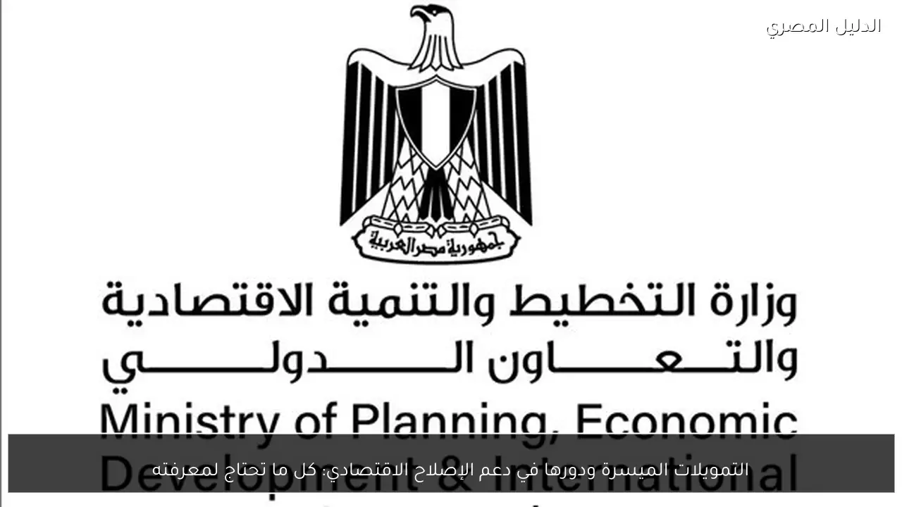 التمويلات الميسرة ودورها في دعم الإصلاح الاقتصادي: كل ما تحتاج لمعرفته