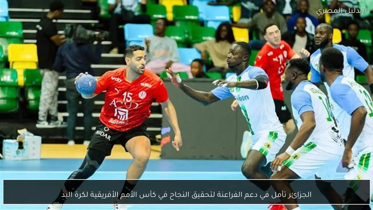 الجزائر تأمل في دعم الفراعنة لتحقيق النجاح في كأس الأمم الأفريقية لكرة اليد