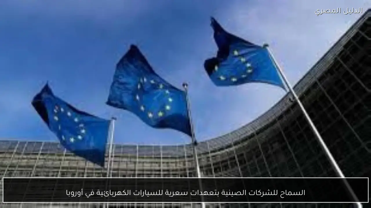 السماح للشركات الصينية بتعهدات سعرية للسيارات الكهربائية في أوروبا