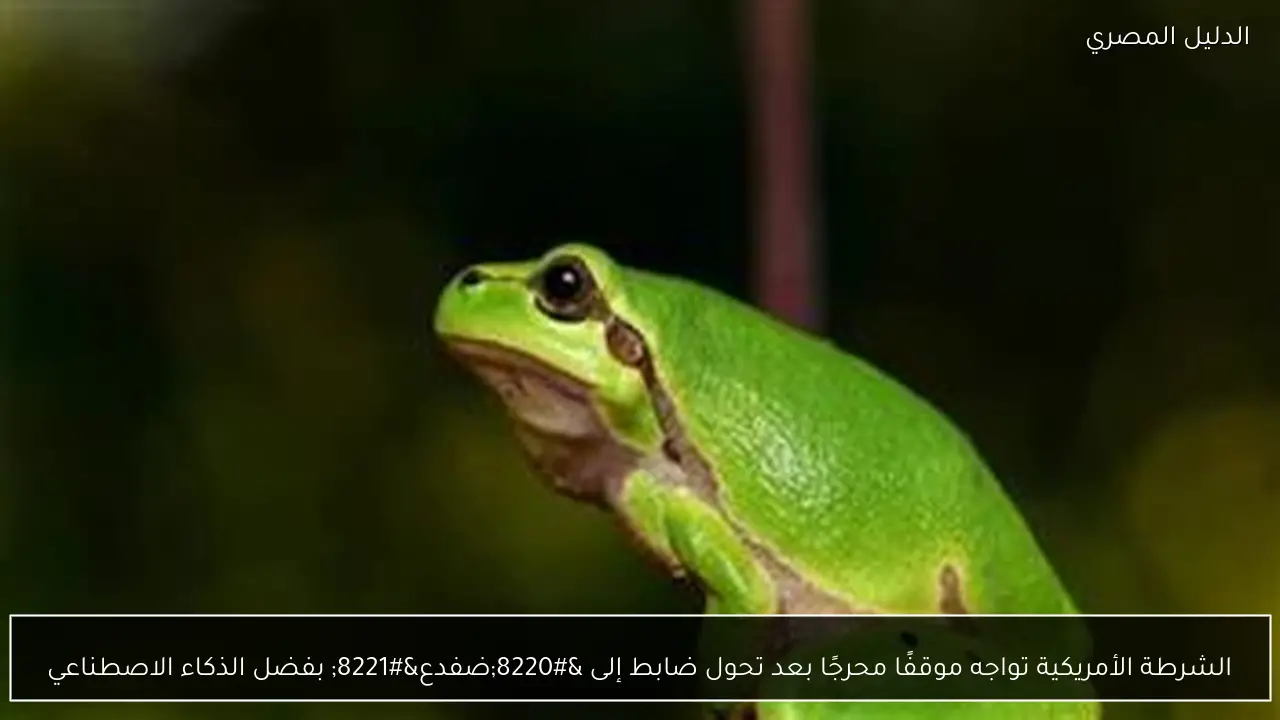 الشرطة الأمريكية تواجه موقفًا محرجًا بعد تحول ضابط إلى “ضفدع” بفضل الذكاء الاصطناعي