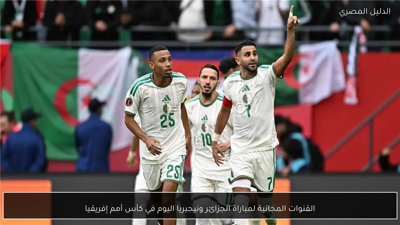 القنوات المجانية لمباراة الجزائر ونيجيريا اليوم في كأس أمم إفريقيا