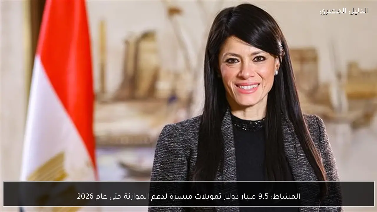 المشاط: 9.5 مليار دولار تمويلات ميسرة لدعم الموازنة حتى عام 2026