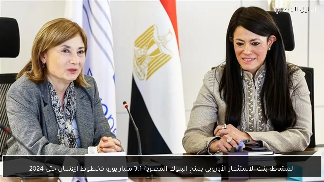 المشاط: بنك الاستثمار الأوروبي يمنح البنوك المصرية 3.1 مليار يورو كخطوط ائتمان حتى 2024