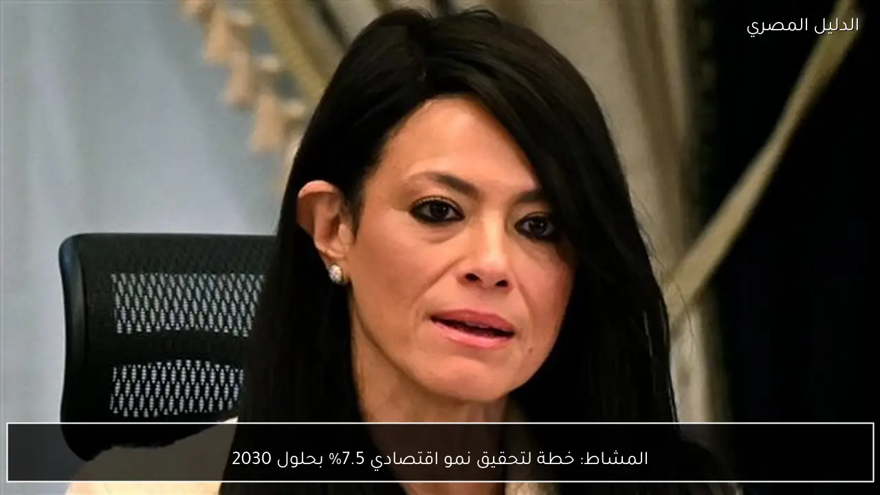 المشاط: خطة لتحقيق نمو اقتصادي 7.5% بحلول 2030