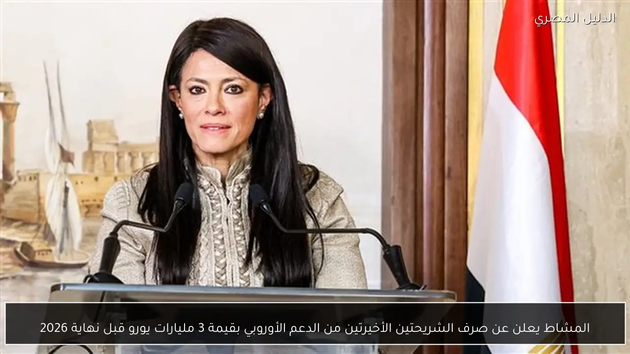 المشاط يعلن عن صرف الشريحتين الأخيرتين من الدعم الأوروبي بقيمة 3 مليارات يورو قبل نهاية 2026