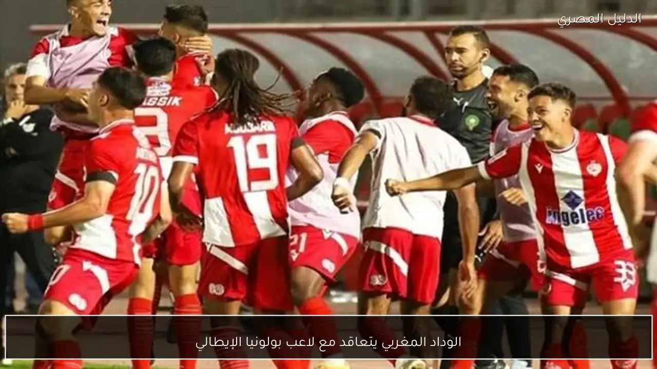 الوداد المغربي يتعاقد مع لاعب بولونيا الإيطالي