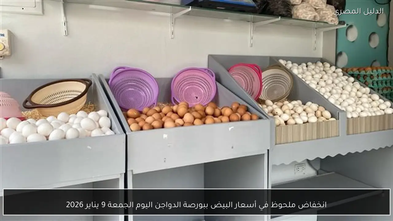 انخفاض ملحوظ في أسعار البيض ببورصة الدواجن اليوم الجمعة 9 يناير 2026