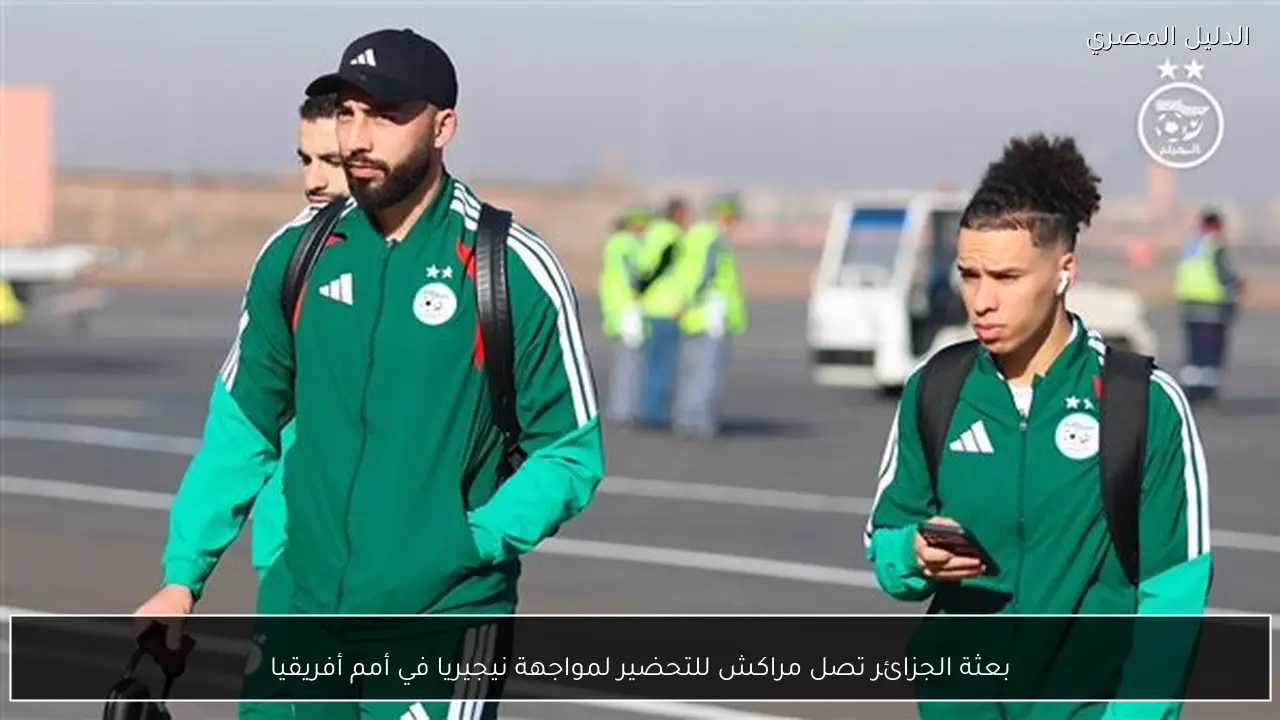 بعثة الجزائر تصل مراكش للتحضير لمواجهة نيجيريا في أمم أفريقيا