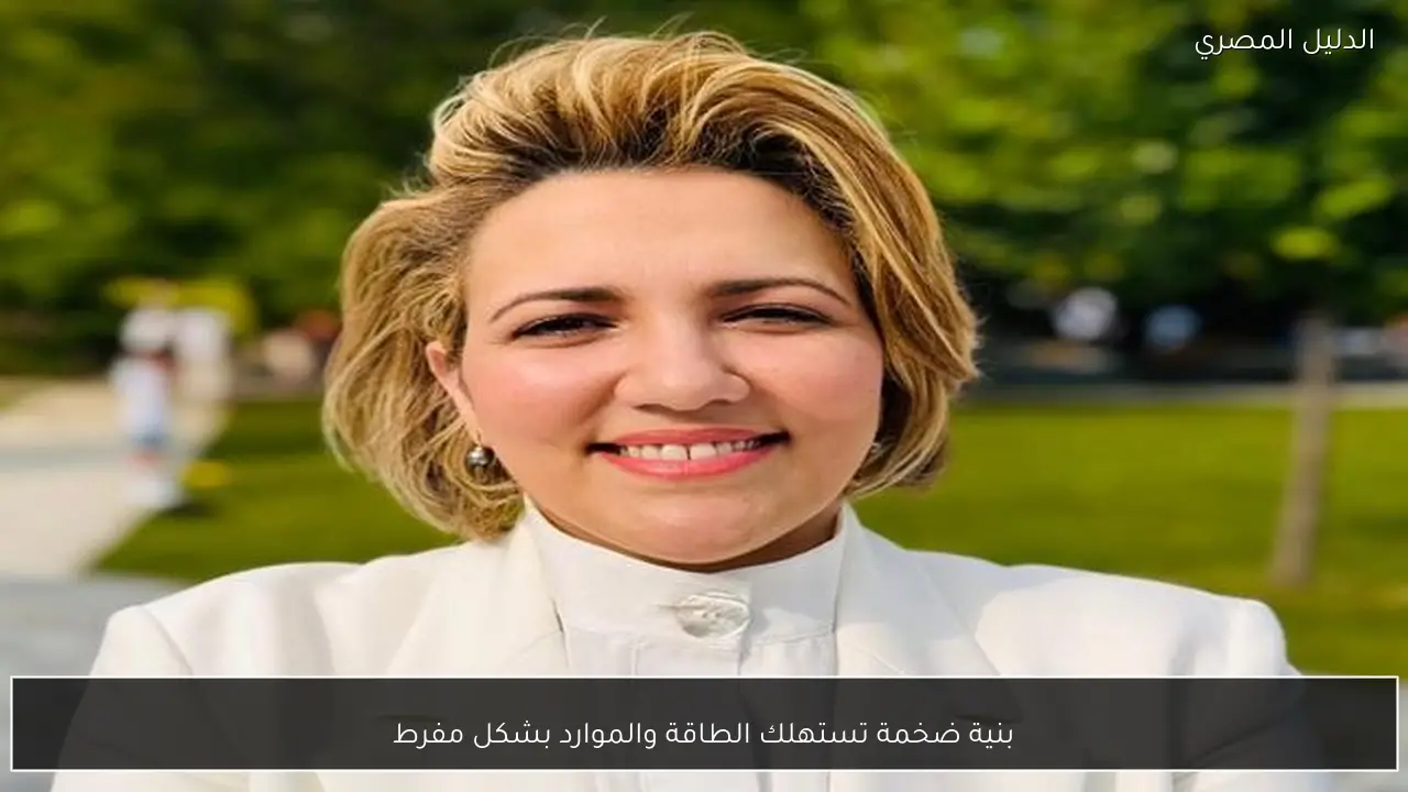 بنية ضخمة تستهلك الطاقة والموارد بشكل مفرط