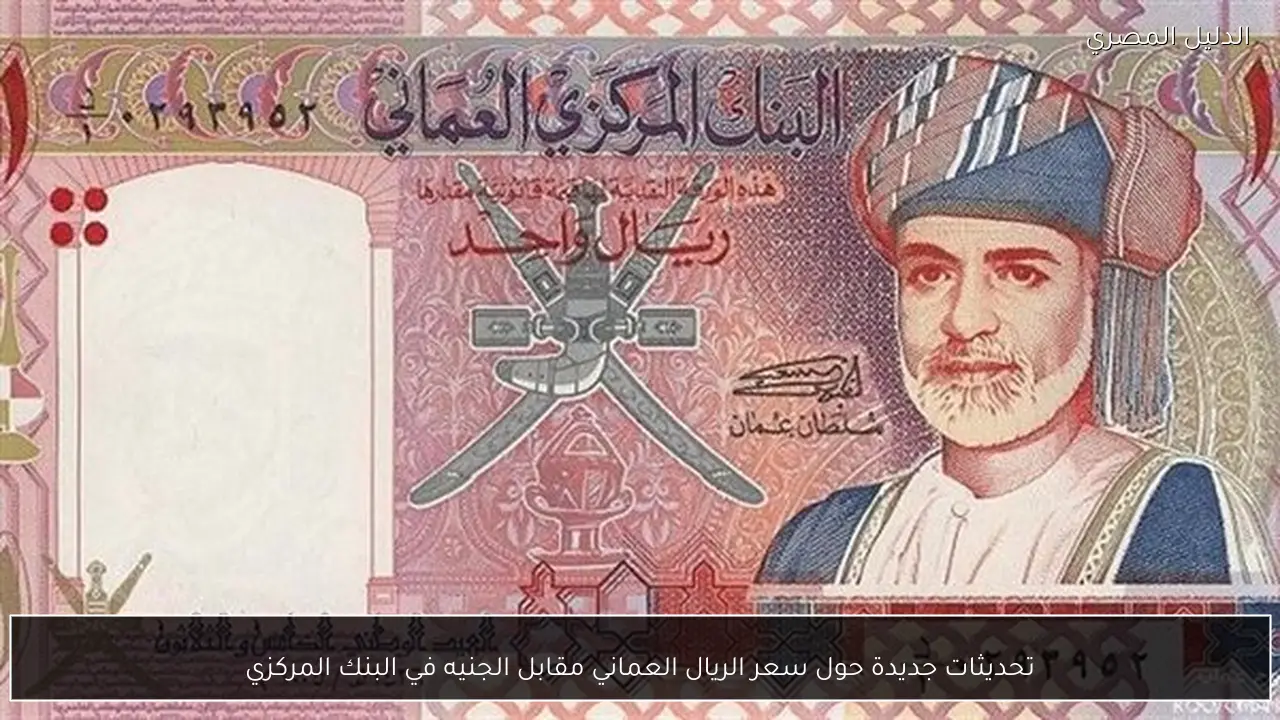 تحديثات جديدة حول سعر الريال العماني مقابل الجنيه في البنك المركزي