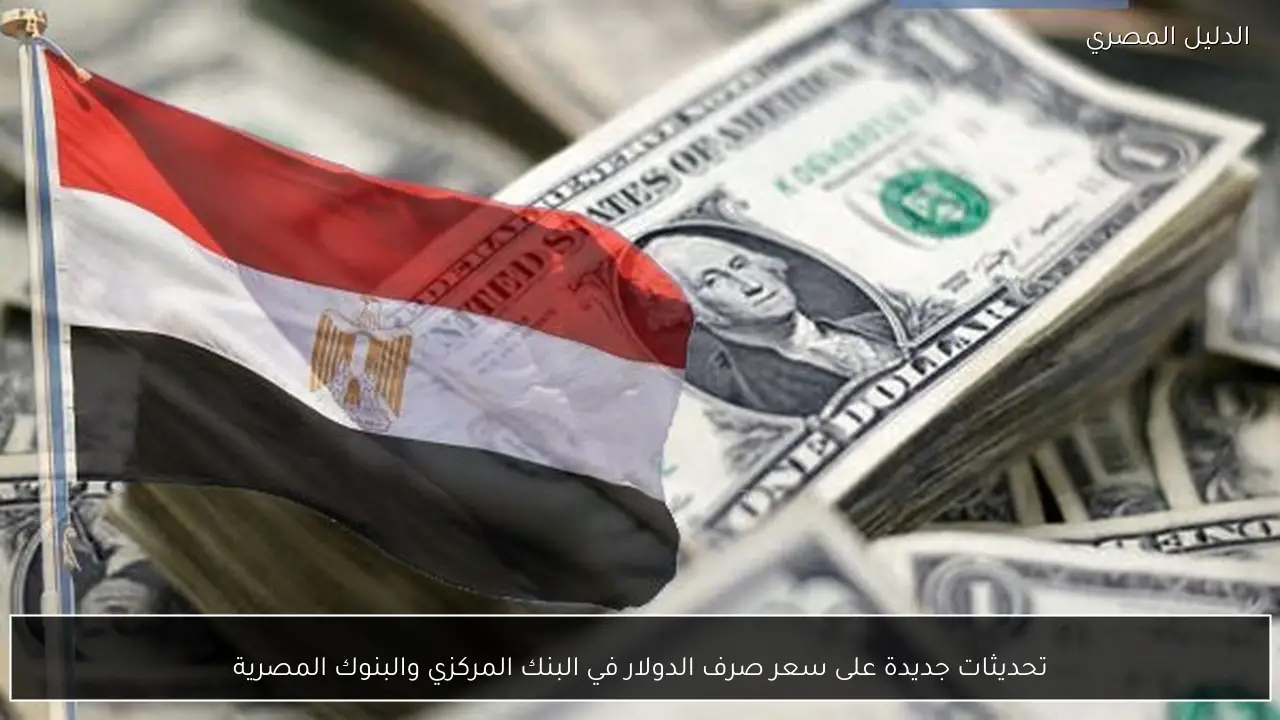 تحديثات جديدة على سعر صرف الدولار في البنك المركزي والبنوك المصرية