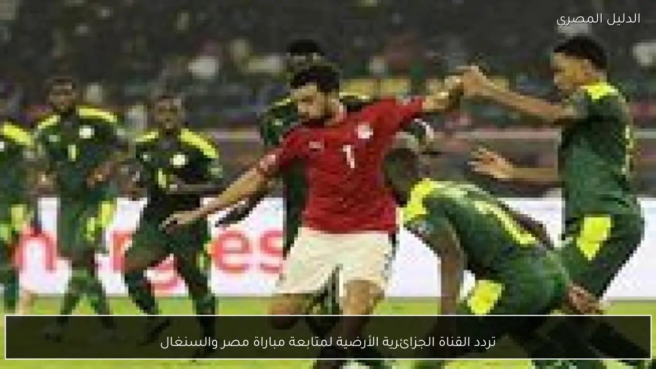 تردد القناة الجزائرية الأرضية لمتابعة مباراة مصر والسنغال