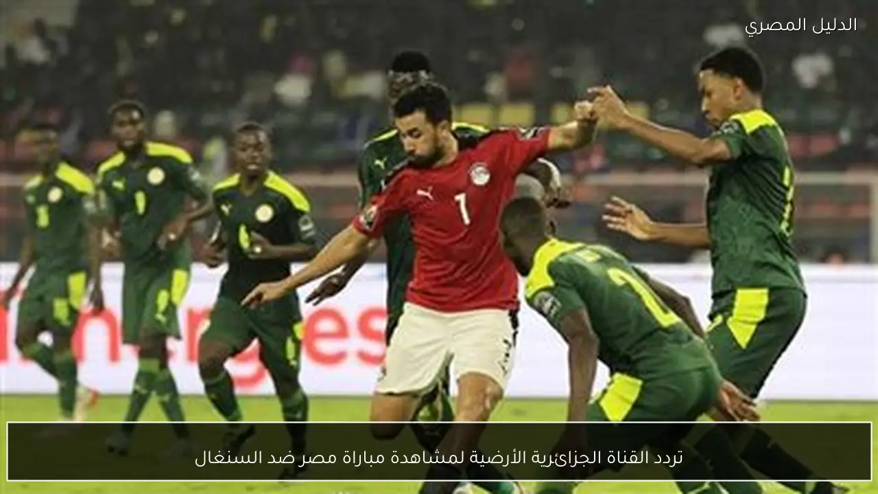 تردد القناة الجزائرية الأرضية لمشاهدة مباراة مصر ضد السنغال