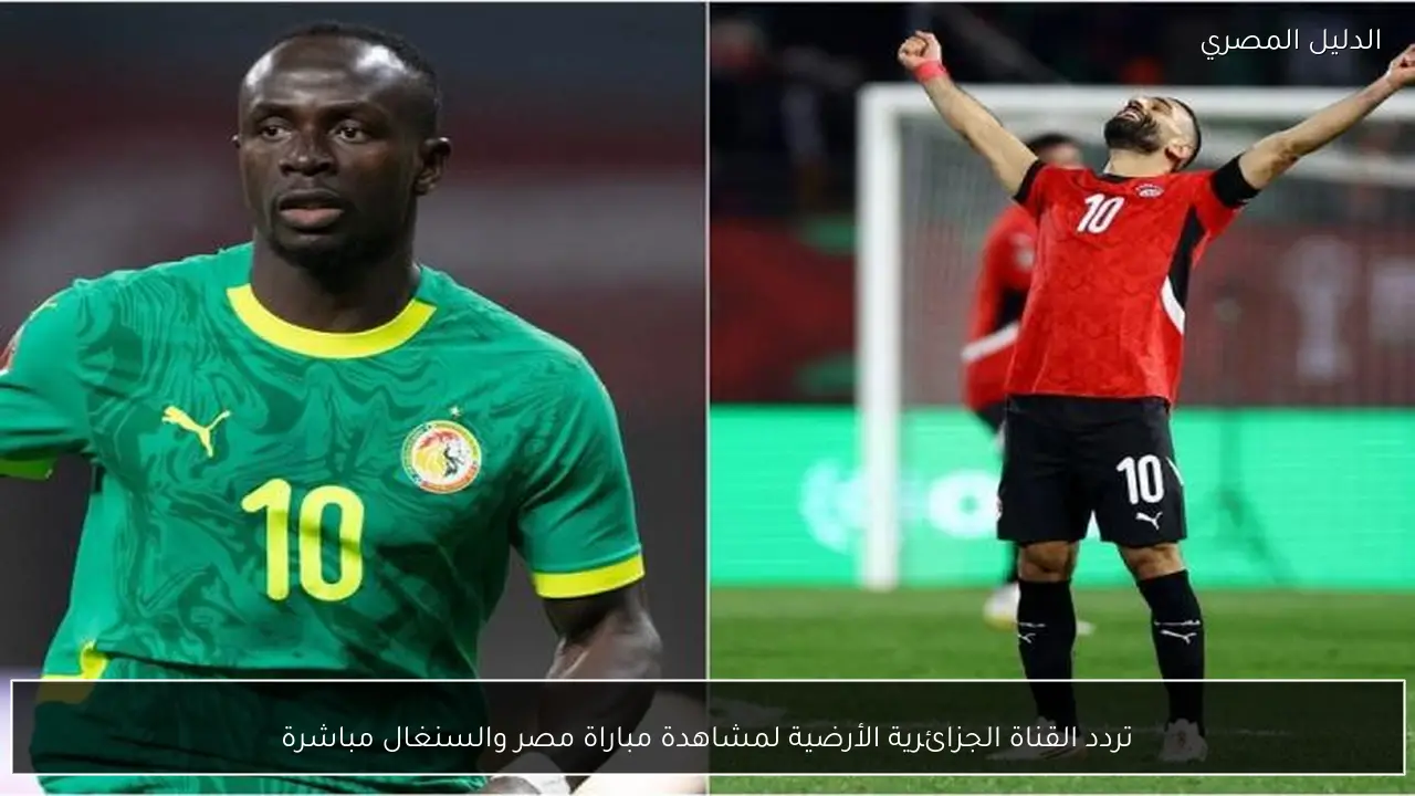 تردد القناة الجزائرية الأرضية لمشاهدة مباراة مصر والسنغال مباشرة