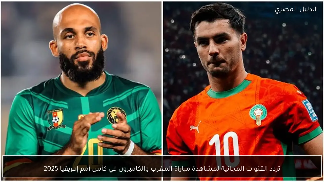تردد القنوات المجانية لمشاهدة مباراة المغرب والكاميرون في كأس أمم إفريقيا 2025