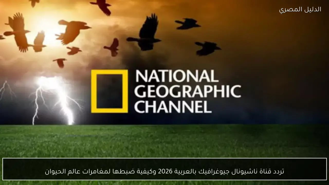 تردد قناة ناشيونال جيوغرافيك بالعربية 2026 وكيفية ضبطها لمغامرات عالم الحيوان