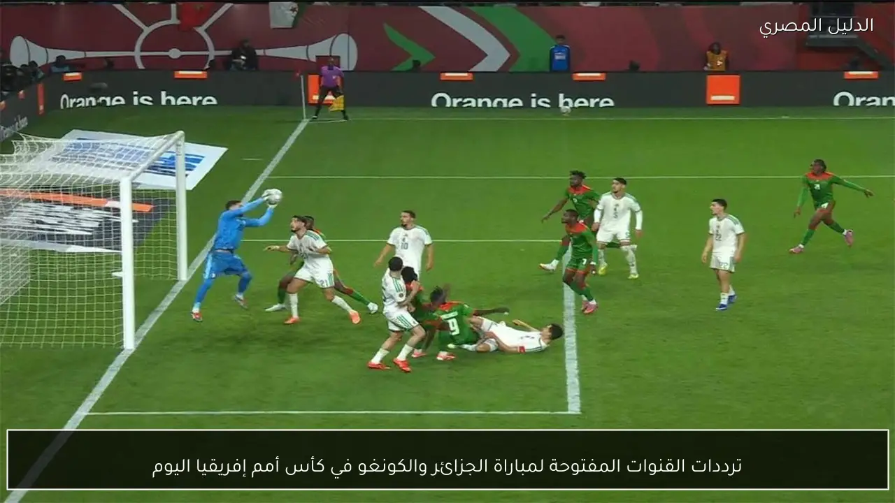 ترددات القنوات المفتوحة لمباراة الجزائر والكونغو في كأس أمم إفريقيا اليوم