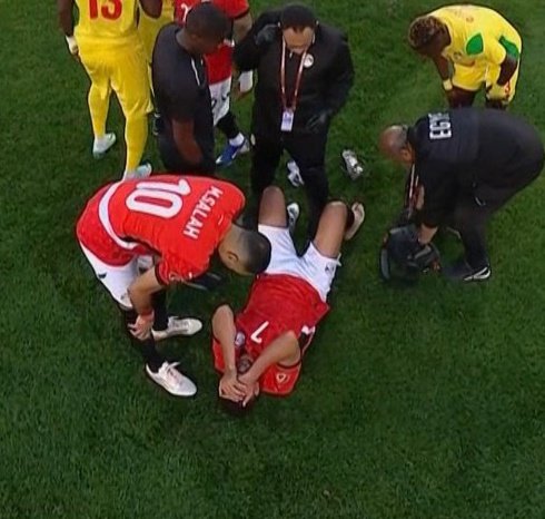 محمود تريزيجيه،الدليل المصري