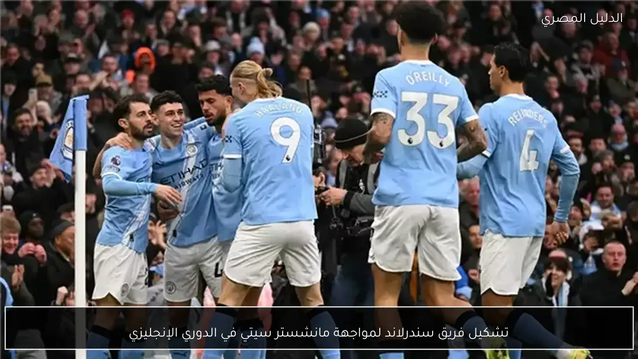 تشكيل فريق سندرلاند لمواجهة مانشستر سيتي في الدوري الإنجليزي