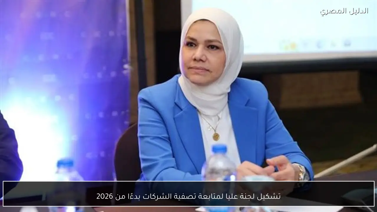 تشكيل لجنة عليا لمتابعة تصفية الشركات بدءًا من 2026