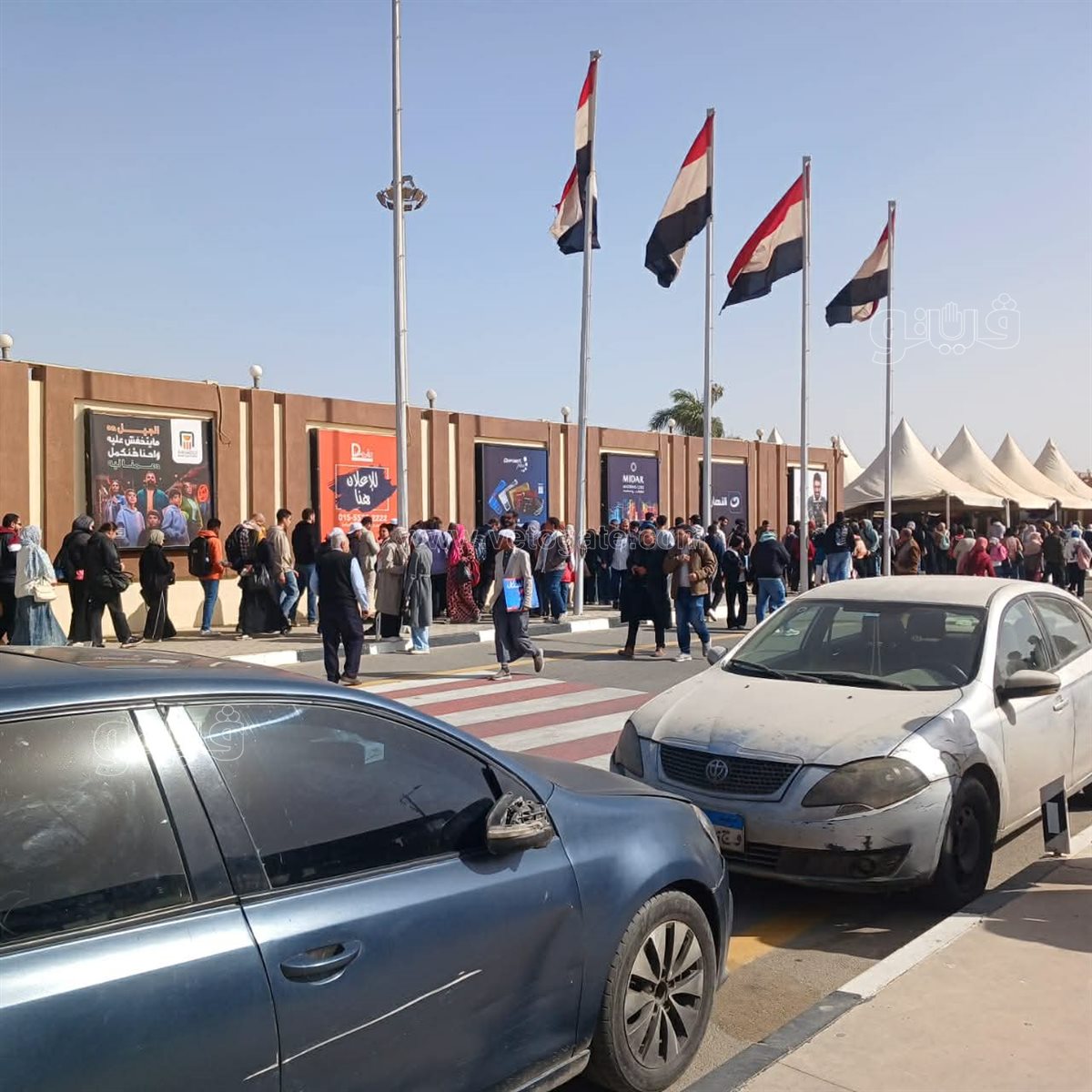 صورة من المعرض