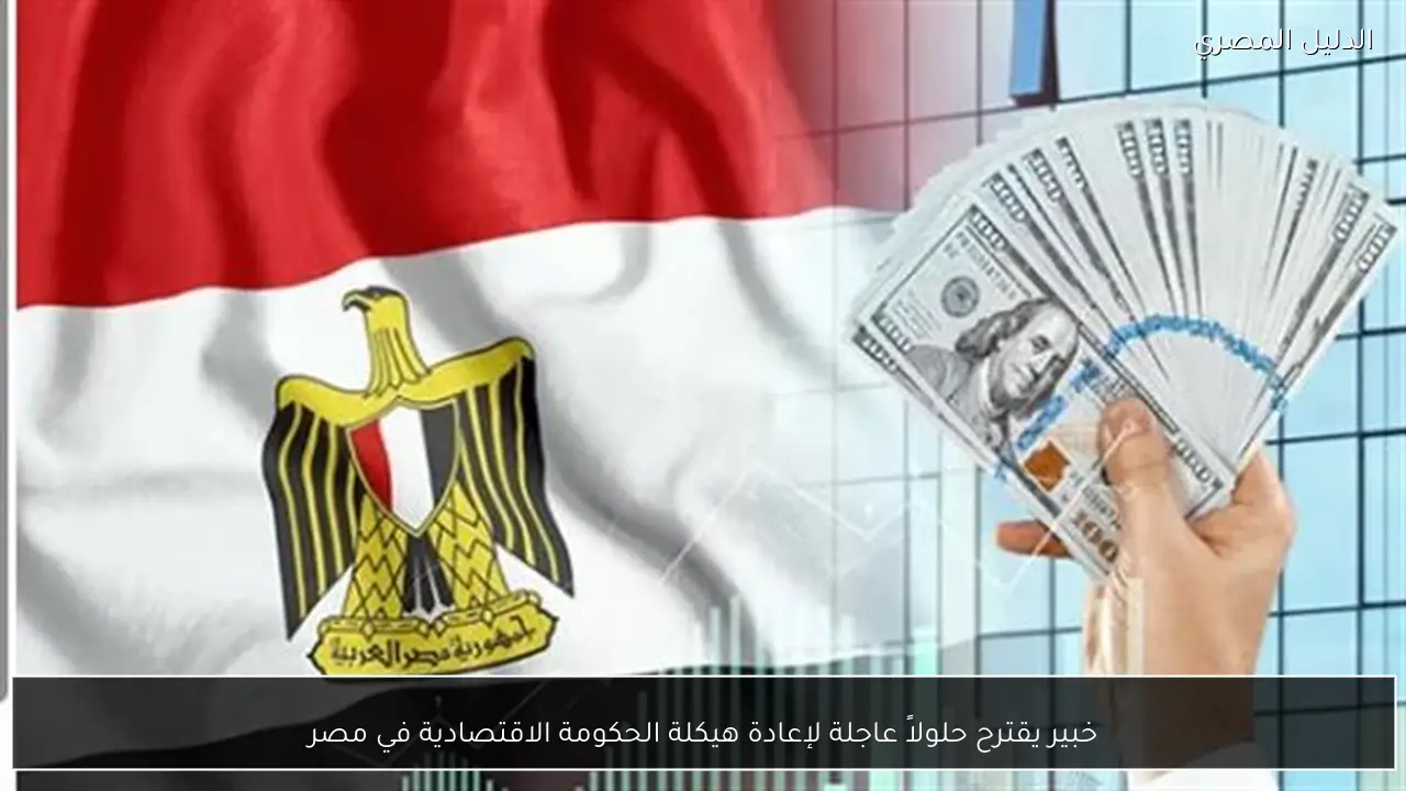 خبير يقترح حلولاً عاجلة لإعادة هيكلة الحكومة الاقتصادية في مصر