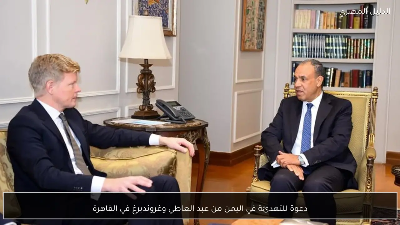 دعوة للتهدئة في اليمن من عبد العاطي وغروندبرغ في القاهرة