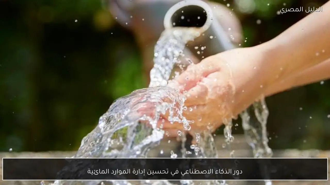 دور الذكاء الاصطناعي في تحسين إدارة الموارد المائية