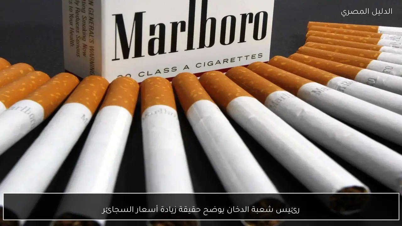 رئيس شعبة الدخان يوضح حقيقة زيادة أسعار السجائر