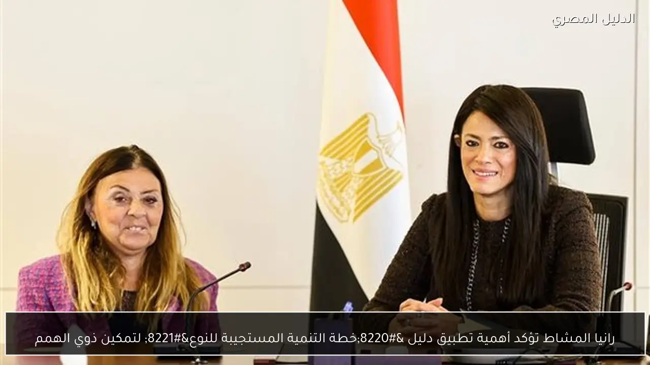 رانيا المشاط تؤكد أهمية تطبيق دليل “خطة التنمية المستجيبة للنوع” لتمكين ذوي الهمم