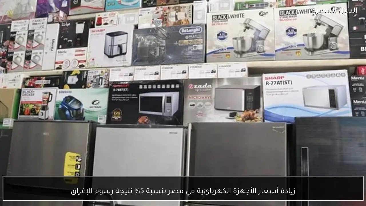 زيادة أسعار الأجهزة الكهربائية في مصر بنسبة 5% نتيجة رسوم الإغراق