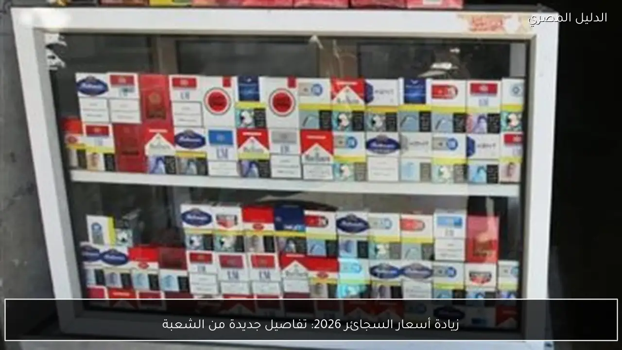 زيادة أسعار السجائر 2026: تفاصيل جديدة من الشعبة