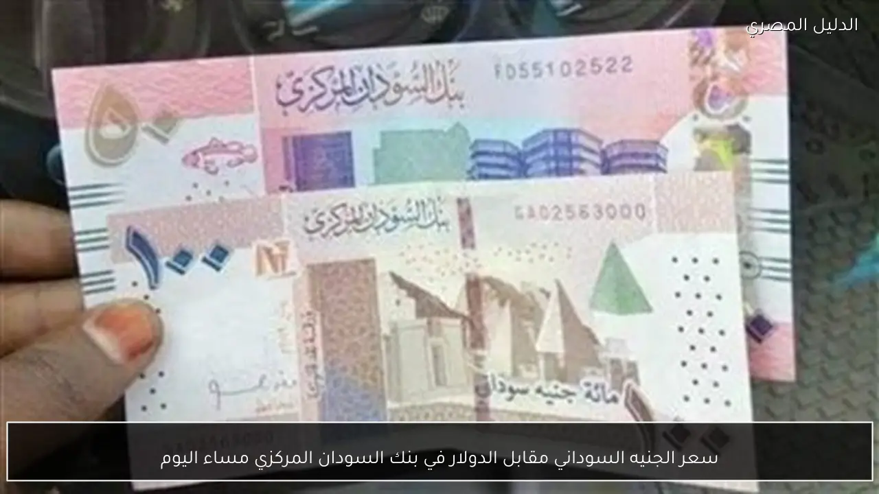 سعر الجنيه السوداني مقابل الدولار في بنك السودان المركزي مساء اليوم