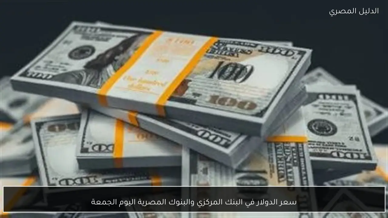 سعر الدولار في البنك المركزي والبنوك المصرية اليوم الجمعة