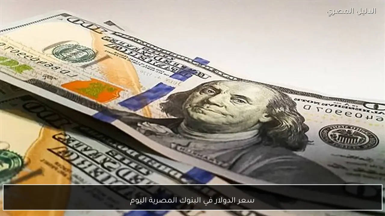 سعر الدولار في البنوك المصرية اليوم