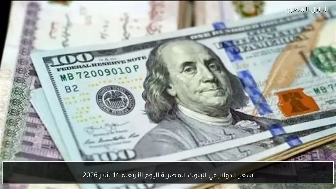 سعر الدولار في البنوك المصرية اليوم الأربعاء 14 يناير 2026