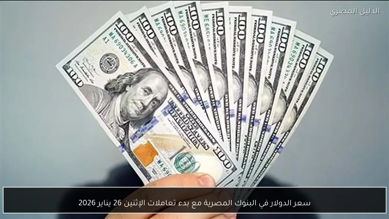 سعر الدولار في البنوك المصرية مع بدء تعاملات الإثنين 26 يناير 2026