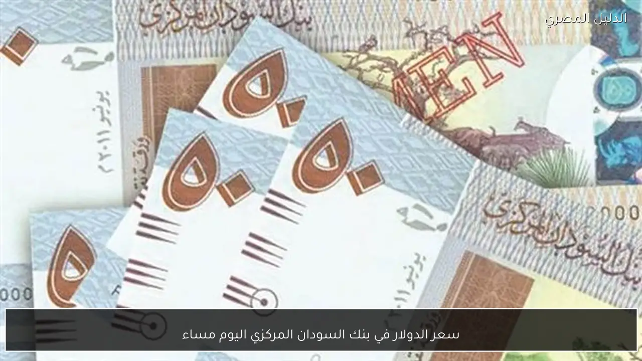 سعر الدولار في بنك السودان المركزي اليوم مساء