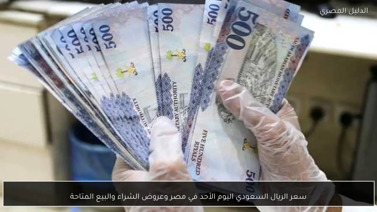 سعر الريال السعودي اليوم الأحد في مصر وعروض الشراء والبيع المتاحة