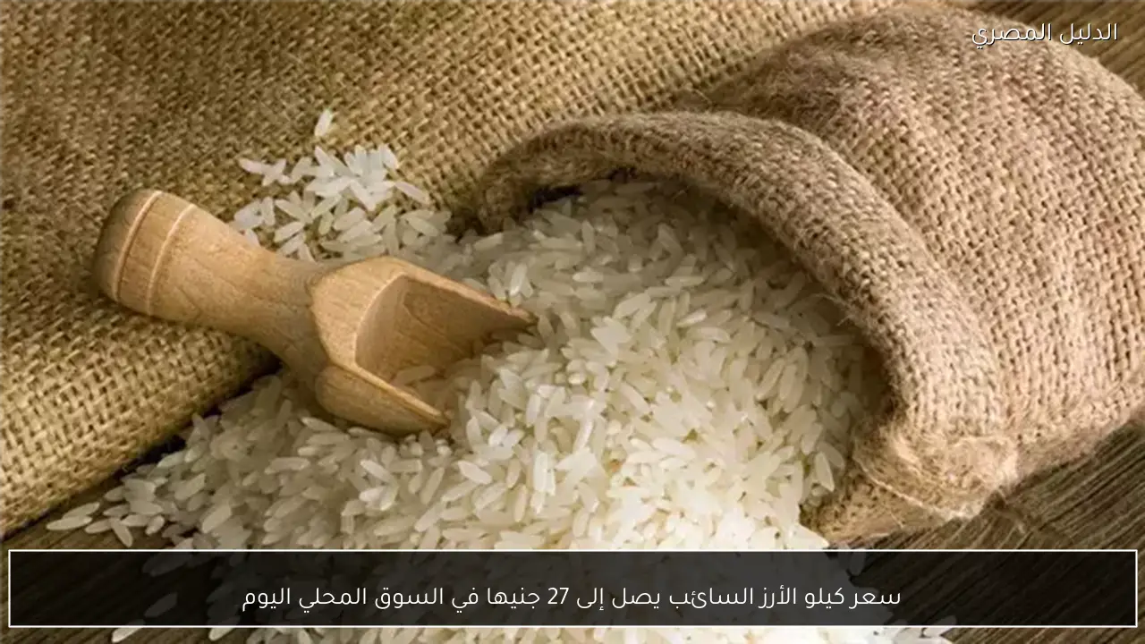 سعر كيلو الأرز السائب يصل إلى 27 جنيها في السوق المحلي اليوم