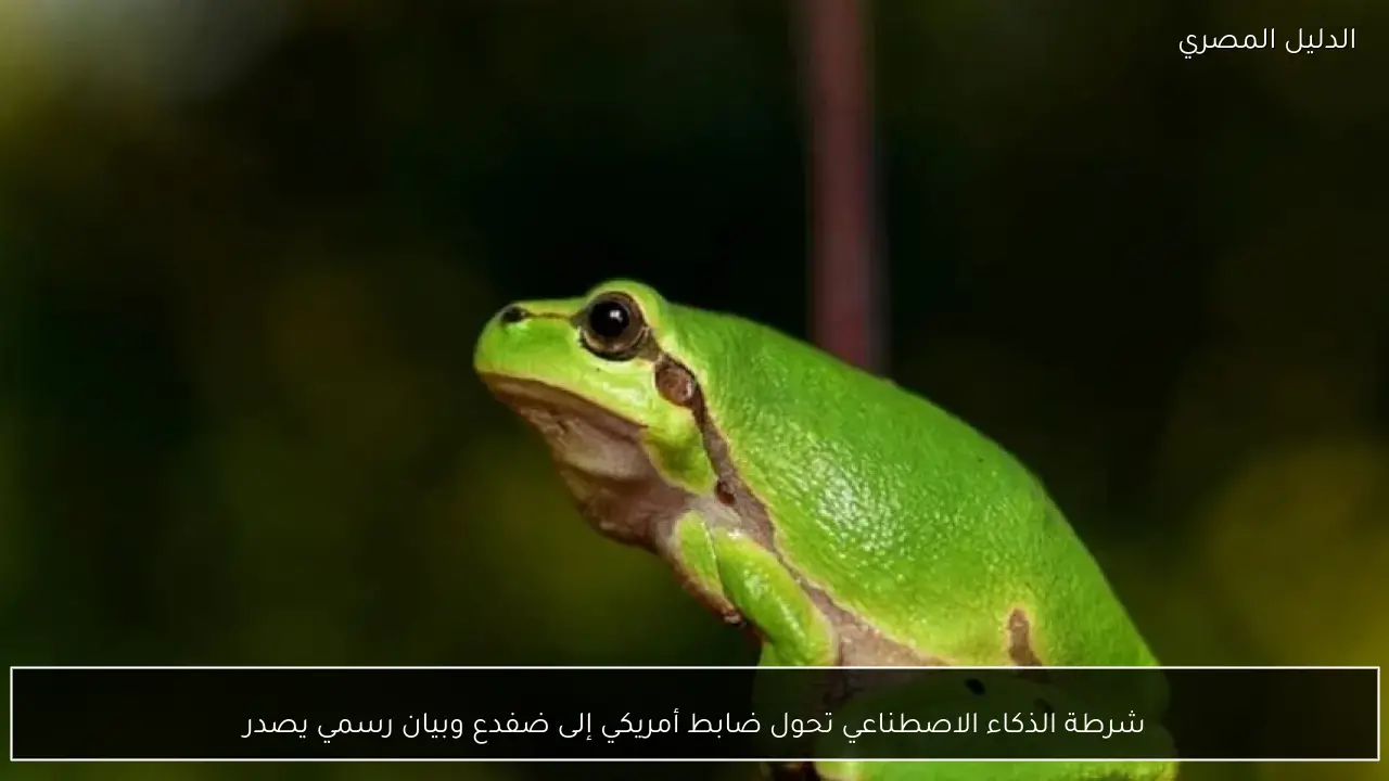 شرطة الذكاء الاصطناعي تحول ضابط أمريكي إلى ضفدع وبيان رسمي يصدر